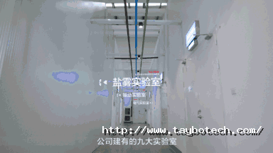 13.gif